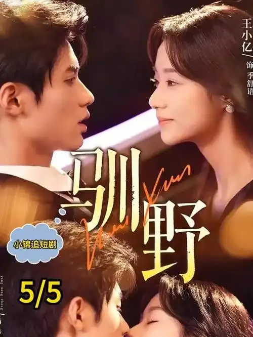 古城迷案 电视剧 2024